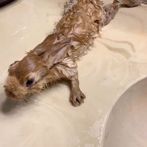 Meet your Posher, Alan